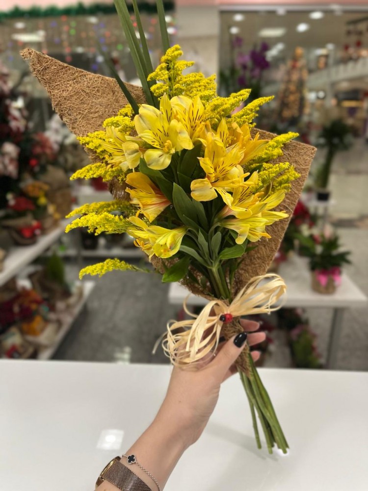 Astromélias Rústica