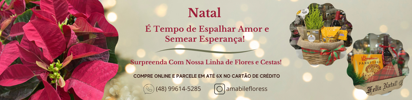 Banner Natal