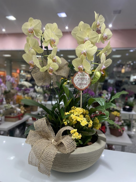 Jardim com Orquídea e Flores Plantadas