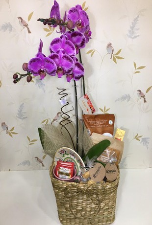 Orquídea com Chocolate e Chá Importado 