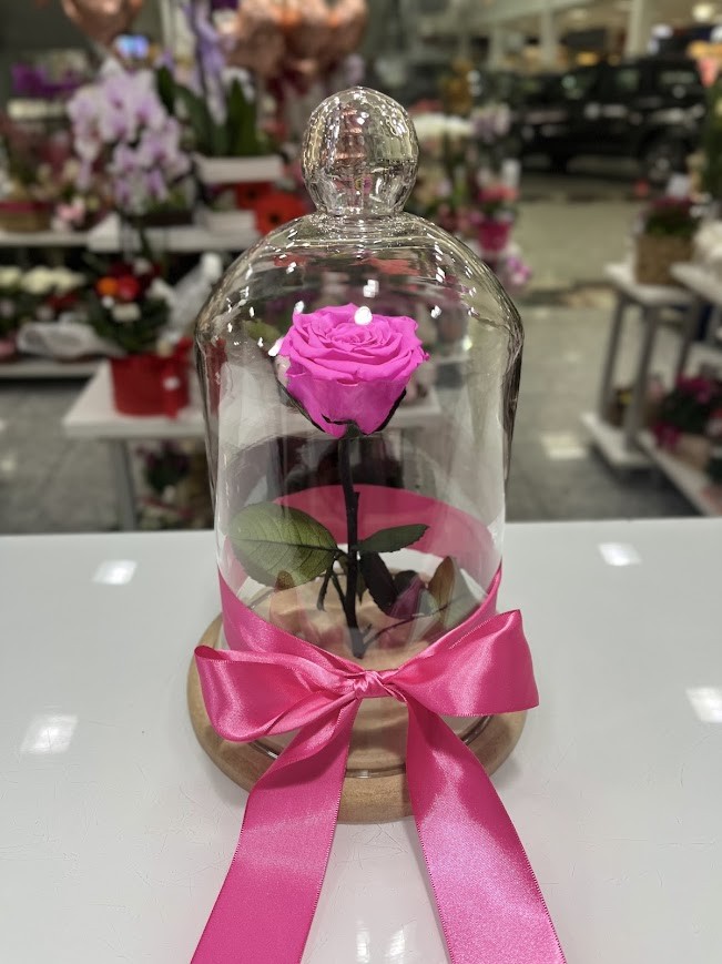Rosa Preservada - Pink Grande ❤️