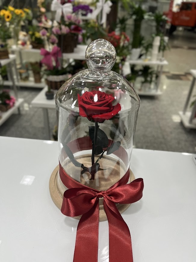 Rosa Preservada - Vermelha Grande ❤️