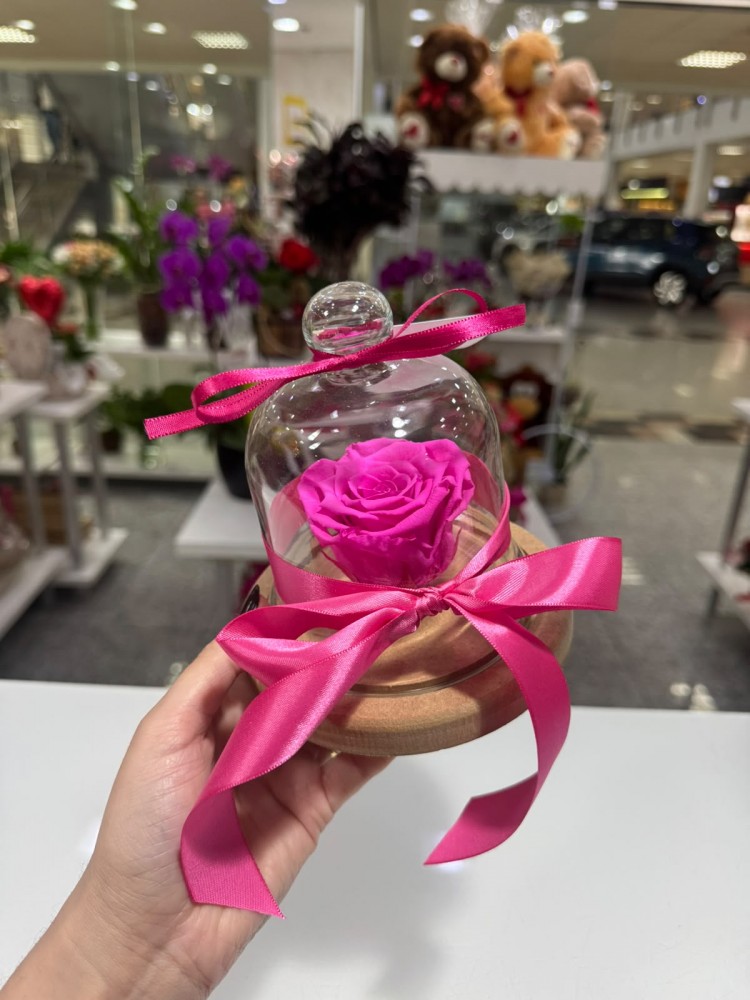 Rosa Preservada - Cor de Rosa Pequena ❤️