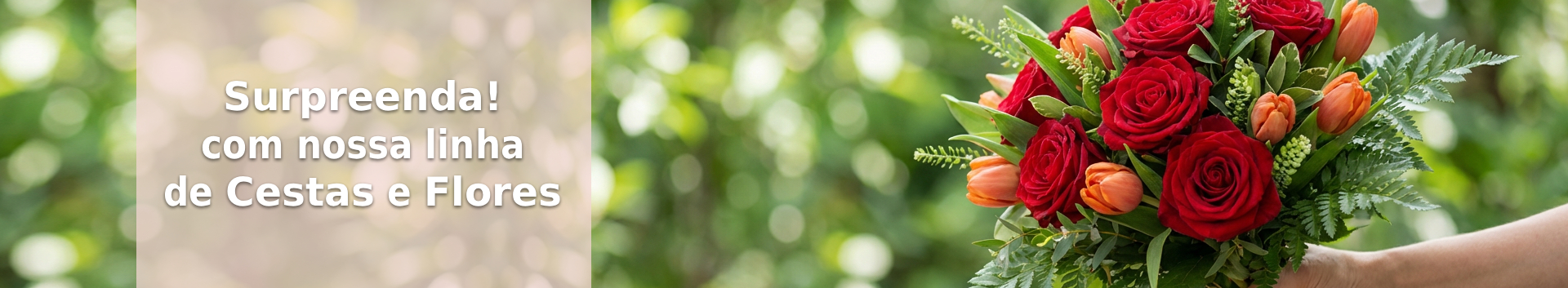 Surpreenda Novo