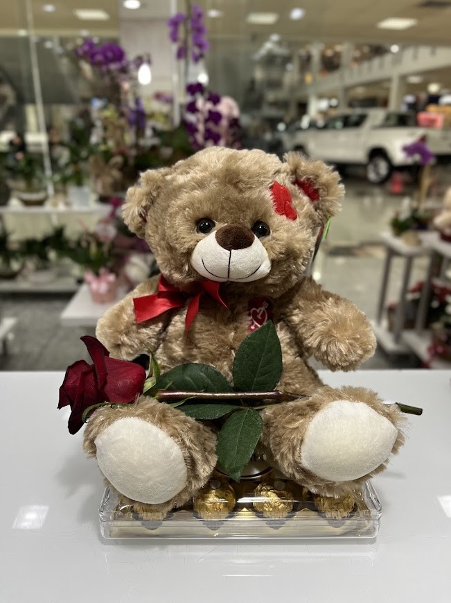 Urso com 12 Ferrero Rocher e Uma Rosa 